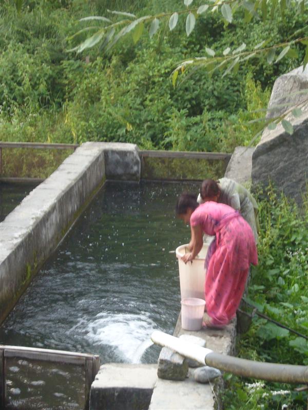 ... where we watched the fish being caught and cleaned.